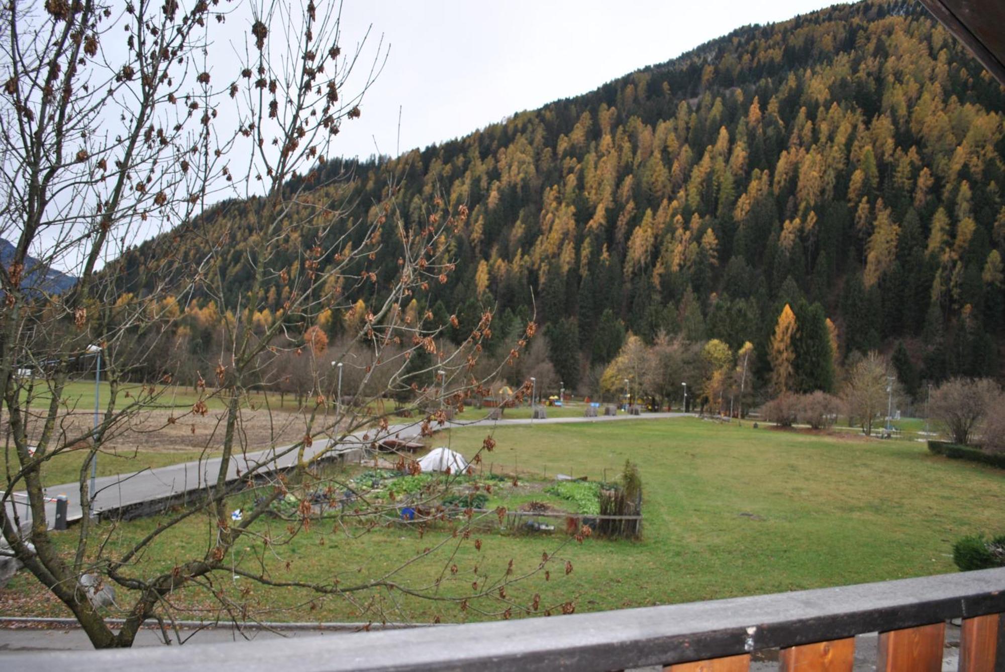 La Pineta - Appartamenti In Villetta Pinzolo Exterior foto