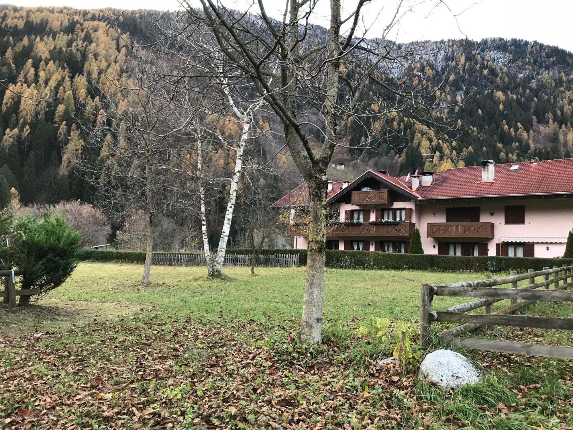La Pineta - Appartamenti In Villetta Pinzolo Exterior foto